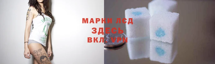 дживик Алзамай