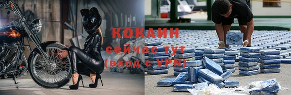 дживик Алзамай