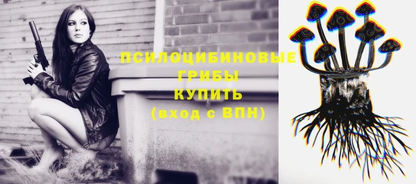 дживик Алзамай