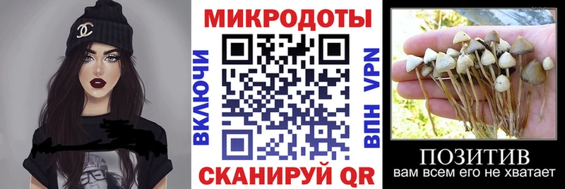 Псилоцибиновые грибы Magic Shrooms  omg tor  Цивильск 